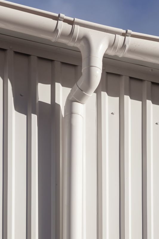 Gutter Service detail