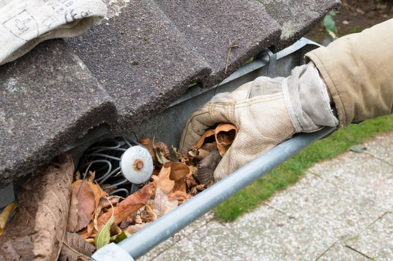 Removing Debris from Gutters